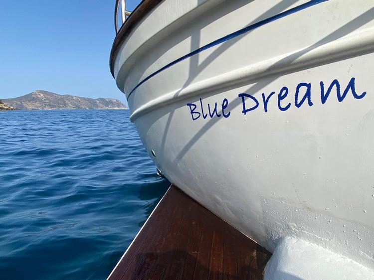 Menorquina Myabca · BLUE DREAM, Myabca · Menorquina — 14