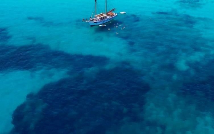 Saga, Goleta clásica · Classic Schooner — 27